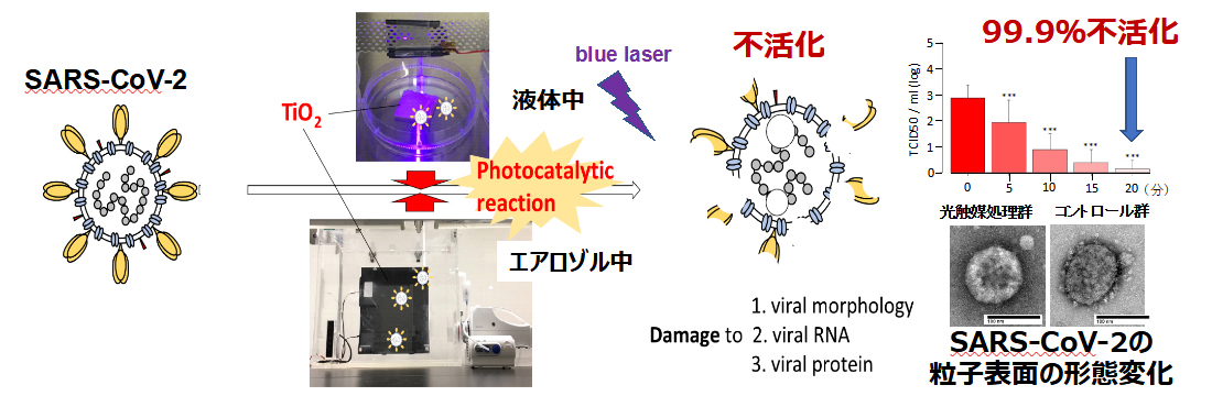 光触媒による液体中とエアロゾル中のSARS-CoV-2の不活化とその機序の解明