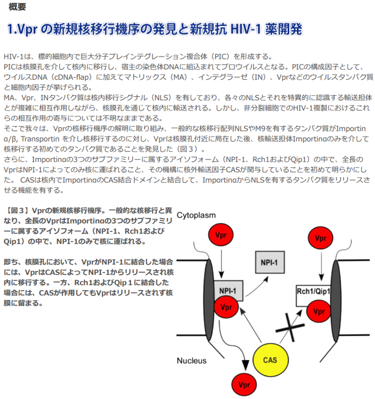 HIV-1によるエイズ発症機構の解明を呼び創薬研究